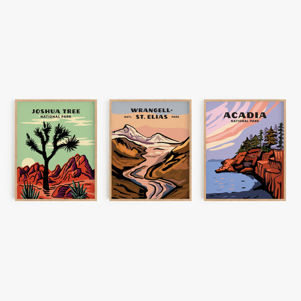 Wrangell St. Elias National Park Poster