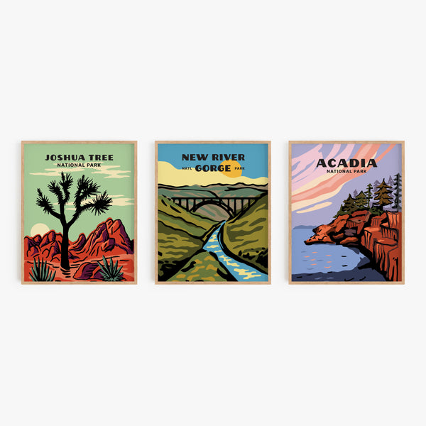 New River Gorge National Park Poster