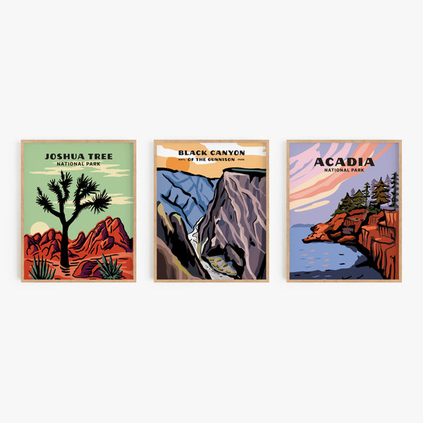 Black Canyon National Park Poster