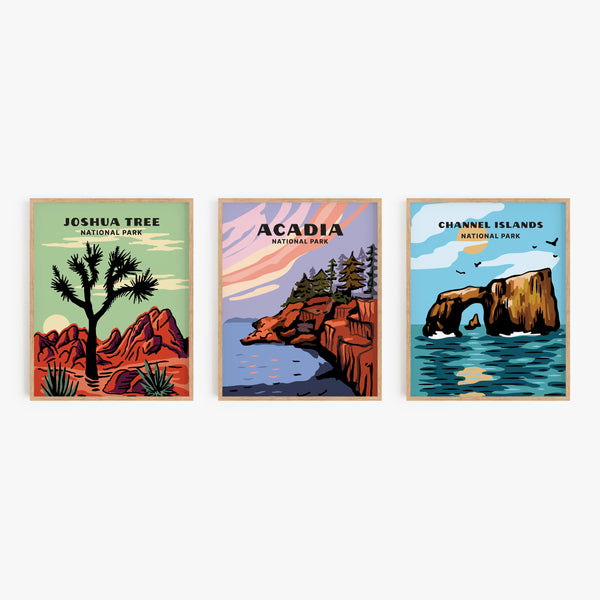 Acadia National Park Poster