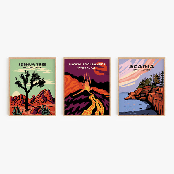 Hawai'i Volcanoes National Park Poster