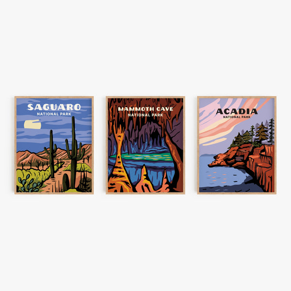 Mammoth Cave National Park Poster