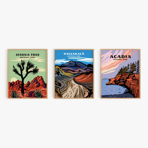 Haleakala National Park Poster