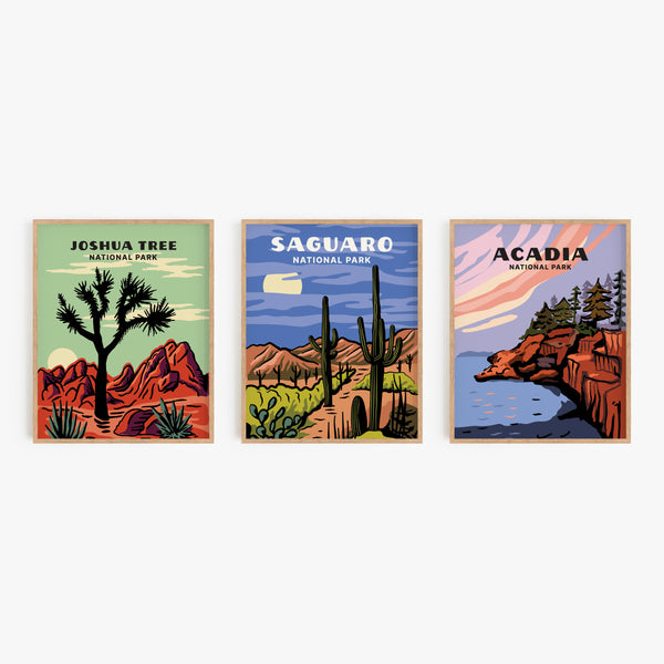 Saguaro National Park Poster