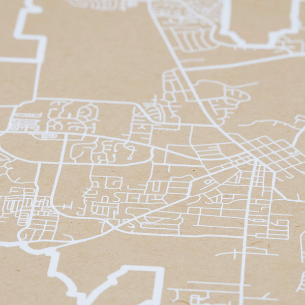 Franklin Neighborhood Map Poster, Franklin City Map Art Print