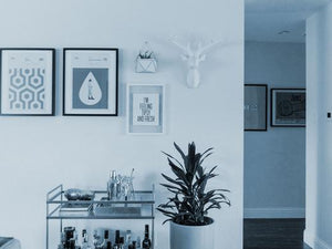 DO YOUR WALLS SPARK JOY?