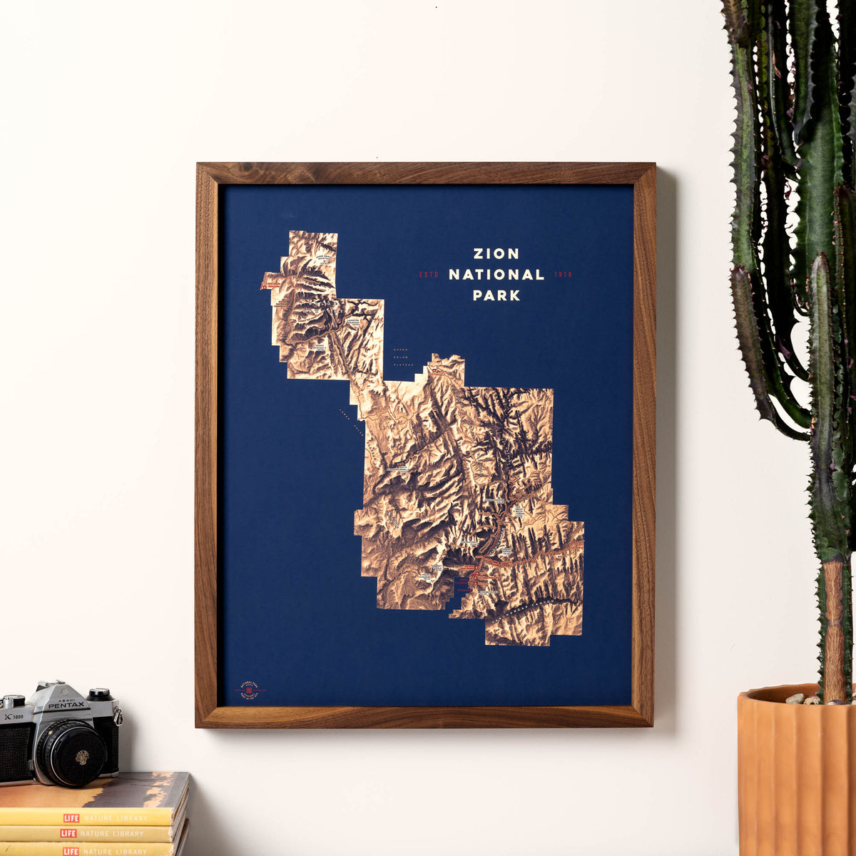 Zion National Park Map | Topographic National Park Art Print 3D