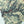 Yosemite National Park Map