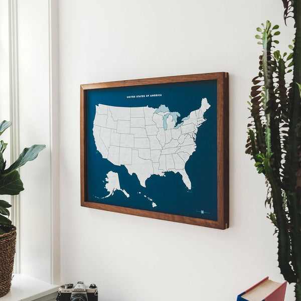 US Push Pin Map