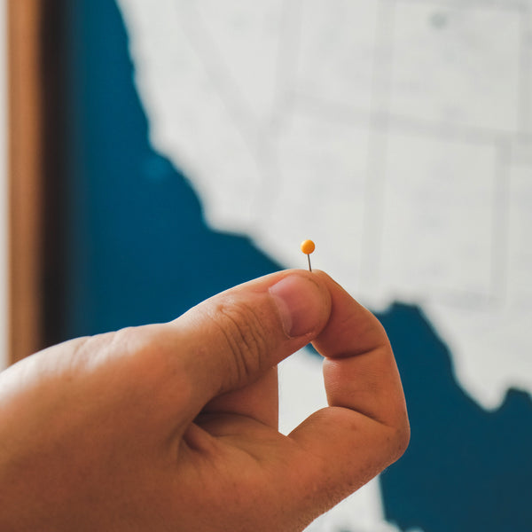 US Push Pin Map