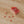 Add Extra Push Pins (box of 100)