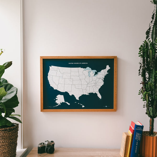 US Push Pin Map