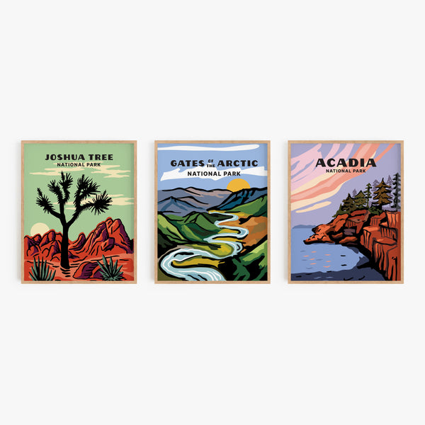 Gates of the Arctic National Park Poster