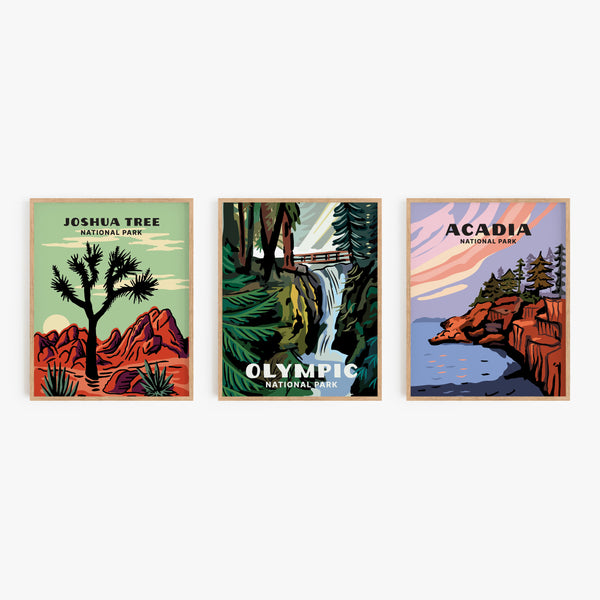 Olympic National Park Poster