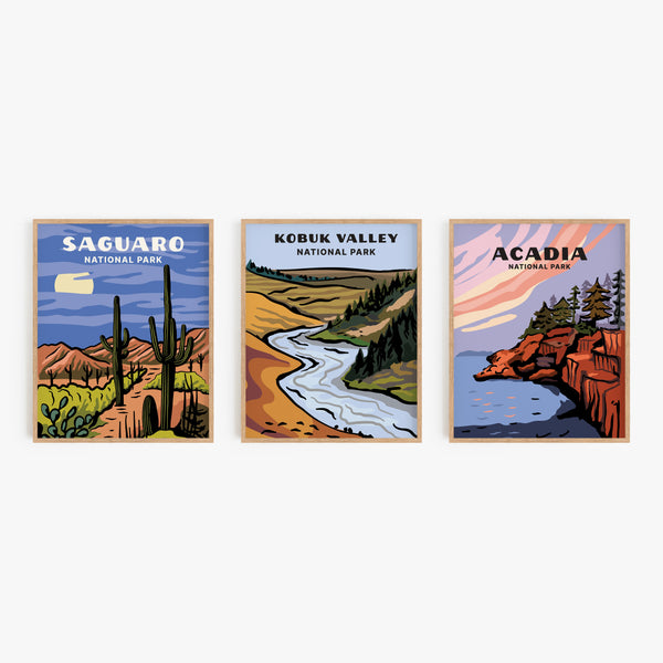 Kobuk Valley National Park Poster