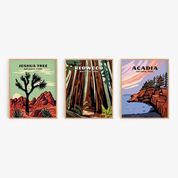Redwood National Park Poster