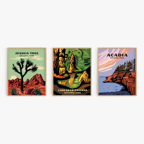 Carlsbad Caverns National Park Poster