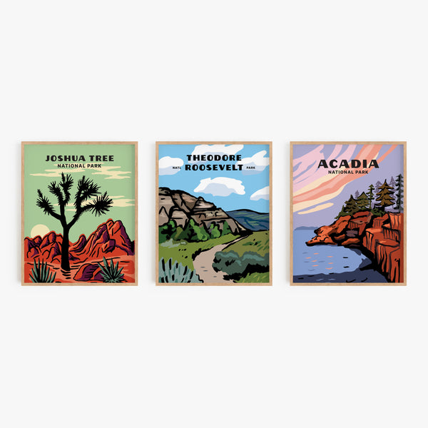 Theodore Roosevelt National Park Poster