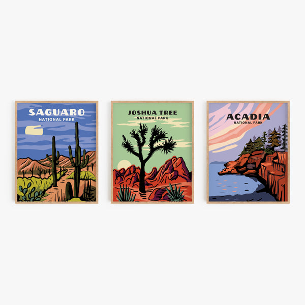 Joshua Tree National Park Poster