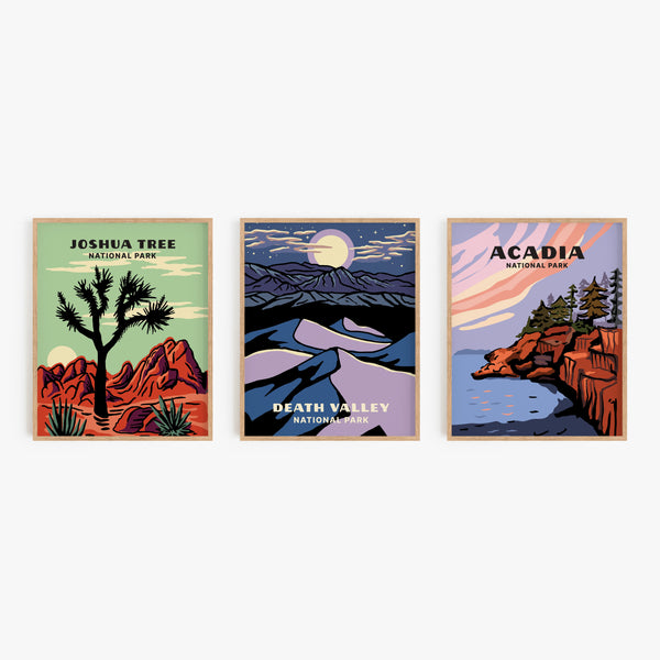 Death Valley National Park Poster