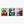 Everglades National Park Poster