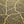 Gold Foil Maps