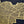 Gold Foil Maps