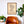 Bellingham Neighborhood Map Poster, Bellingham City Map Art Print