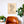 Bellingham Neighborhood Map Poster, Bellingham City Map Art Print