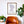 Bellingham Neighborhood Map Poster, Bellingham City Map Art Print