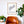 Birmingham Neighborhood Map Poster, Birmingham City Map Art Print