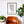 Buffalo Neighborhood Map Poster, Buffalo City Map Art Print