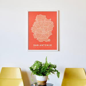 San Antonio Neighborhood Map Poster, San Antonio City Map Art Print