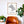 Oakland Neighborhood Map Poster, Oakland City Map Art Print