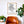 Sacramento Neighborhood Map Poster, Sacramento City Map Art Print
