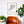 Staten Island Neighborhood Map Poster, Staten Island City Map Art Print