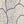 Cincinnati Neighborhood Map Poster, Cincinnati City Map Art Print