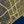 Gold Foil Maps